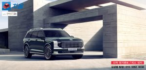 디 올 뉴 팰리세이드2