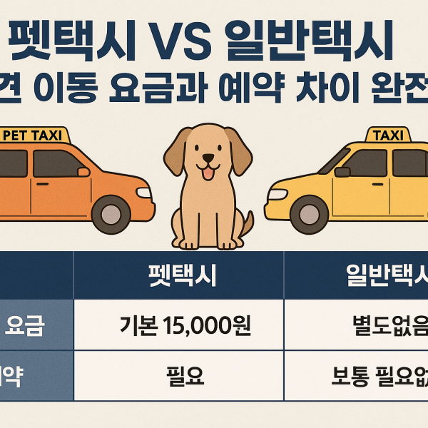 펫택시 VS 일반택시