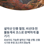 설악산 단풍 절정