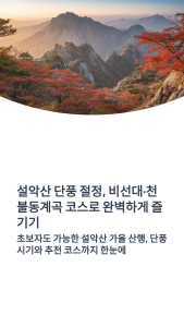 설악산 단풍 절정