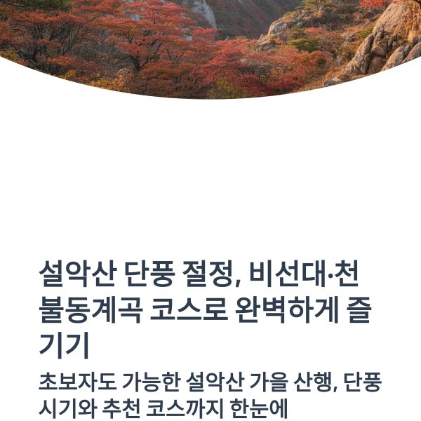 설악산 단풍 절정