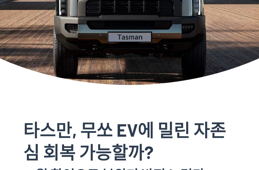 기아 픽업 전략