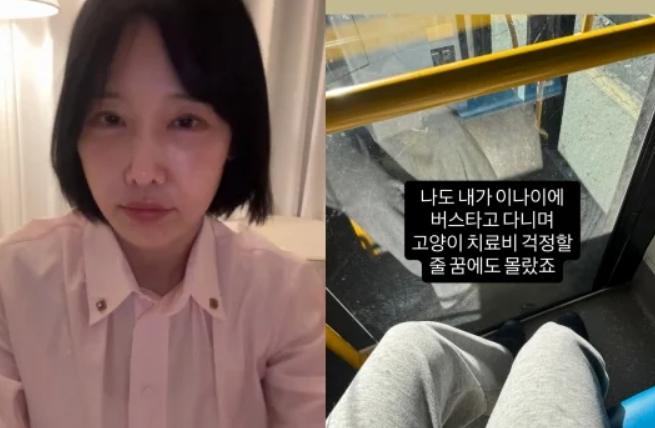 이수진 치과의사 근황3