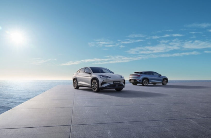 씨라이언7 플러스 가격 3