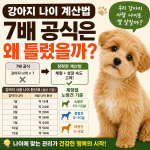 강아지 나이 계산법