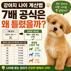 강아지 나이 계산법