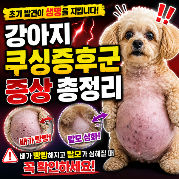 강아지 쿠싱증후군 증상