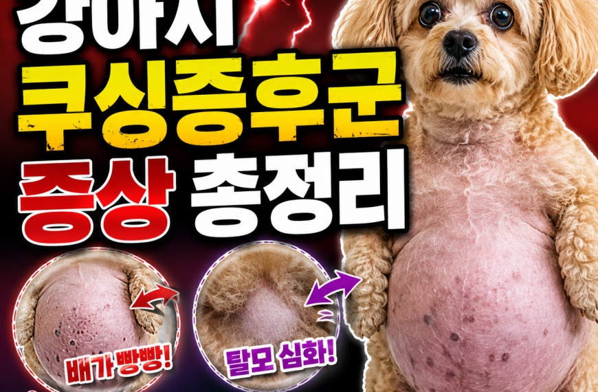 강아지 쿠싱증후군 증상