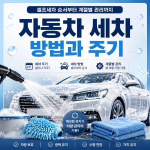 자동차 세차 주기