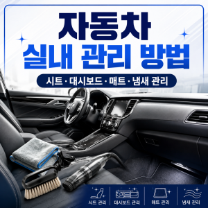 자동차 실내 관리 방법