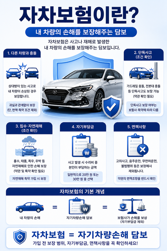 자차보험 1