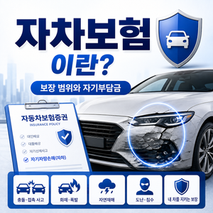 자차보험
