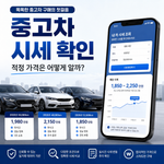중고차 시세 확인