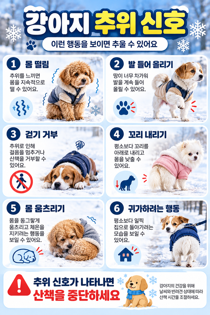 강아지 겨울철 산책 1