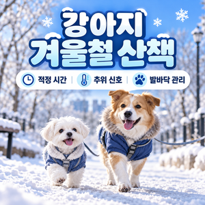 강아지 겨울철 산책