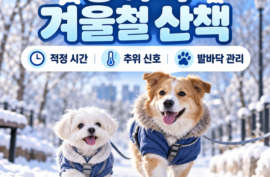 강아지 겨울철 산책