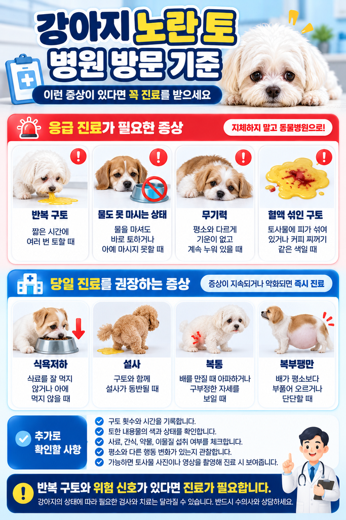 강아지 노란 토 병원 방문 체크리스트