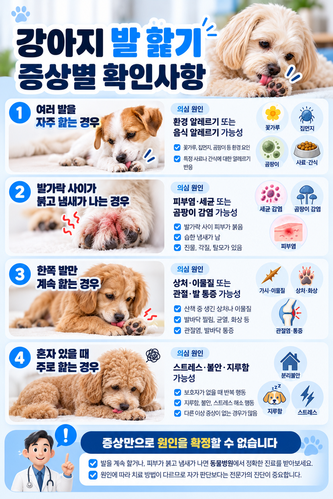 강아지 발 핥기 증상별 체크리스트