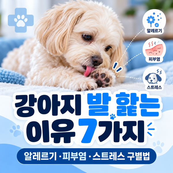 강아지 발 핥는 이유