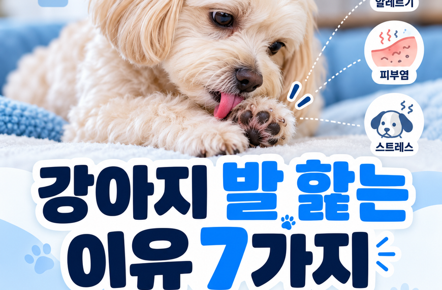 강아지 발 핥는 이유