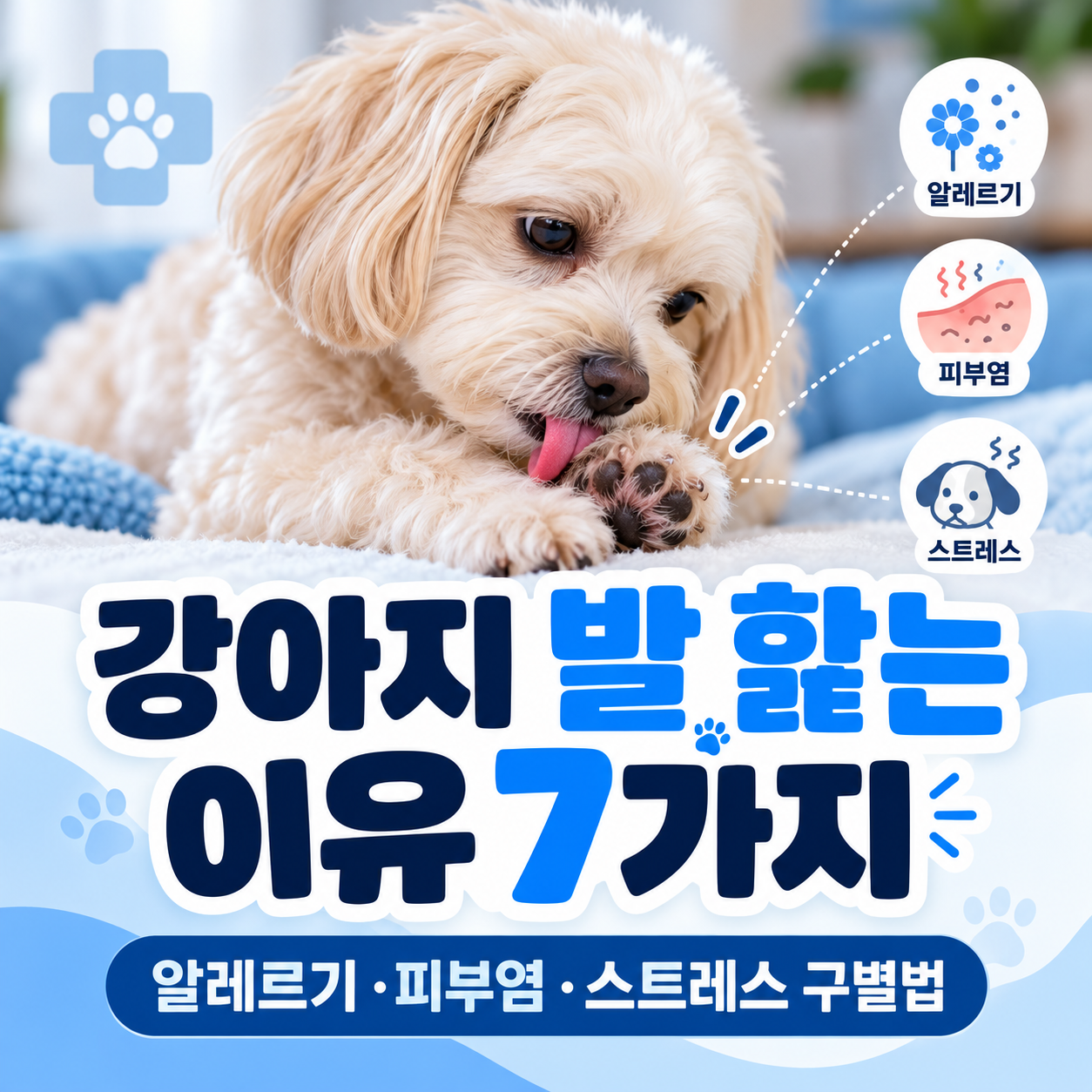 강아지 발 핥는 이유
