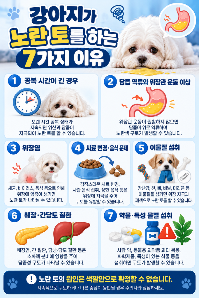 강아지가 노란 토를 하는 7가지 이유