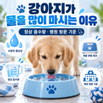 강아지가 물을 많이 마시는 이유