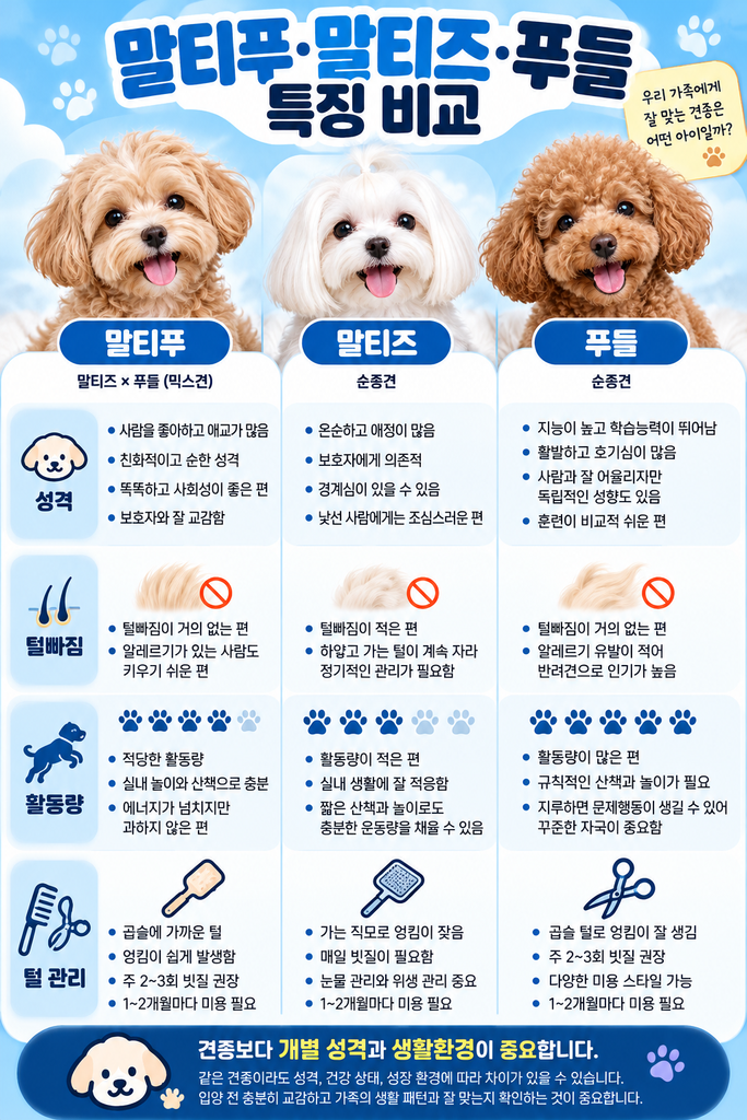 말티푸 말티즈 푸들 차이 1