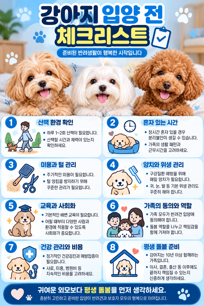 말티푸 말티즈 푸들 차이 2